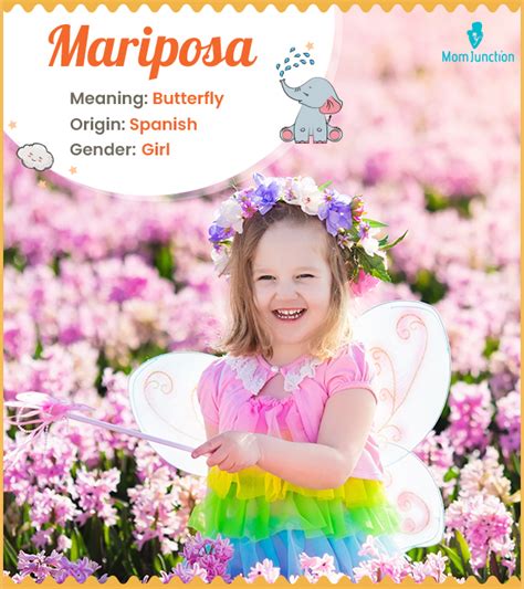 Mariposa Meaning .